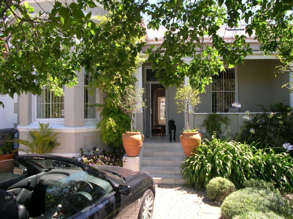 Werner Guest Cape Town